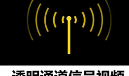 视频信号