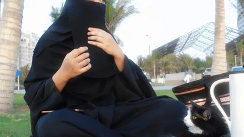 娱乐吃瓜君77,揭秘娱乐圈那些不为人知的幕后故事